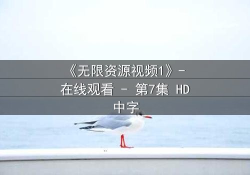《无限资源视频1》- 在线观看 - 第7集 HD中字